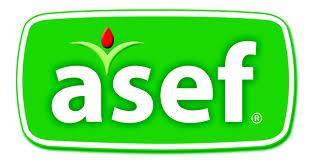 Logo asef